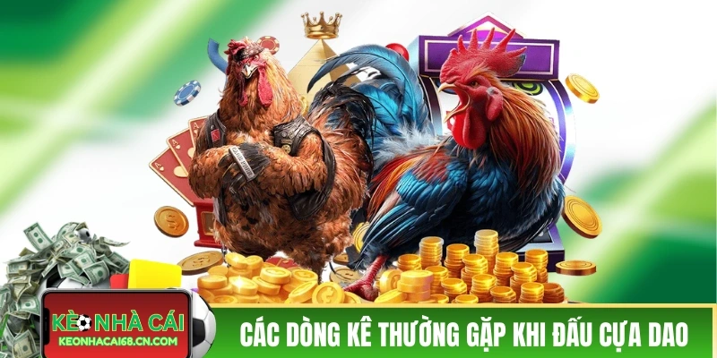 Các dòng kê thường gặp khi đấu cựa dao