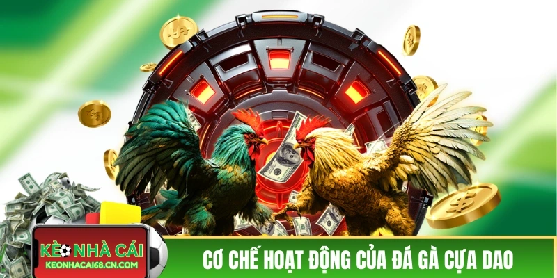 Cơ chế hoạt động của đá gà cửa giao trực tiếp