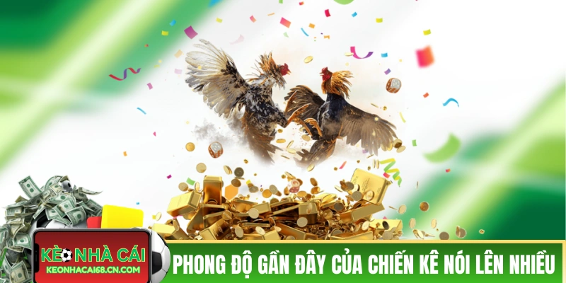Phong độ gần đây của chiến kê nói lên nhiều điều